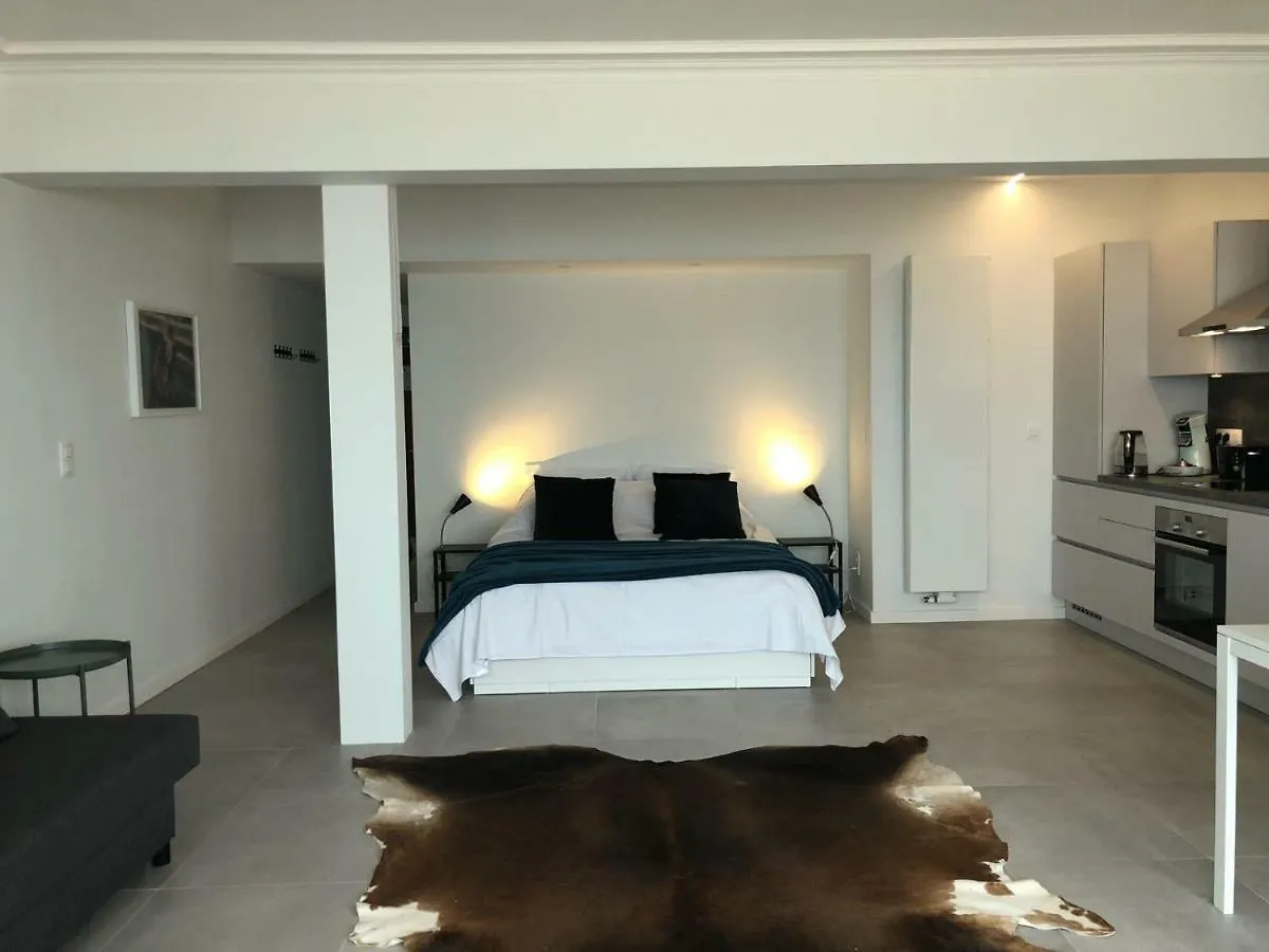 דירות אוסטנדה Seaview Loft